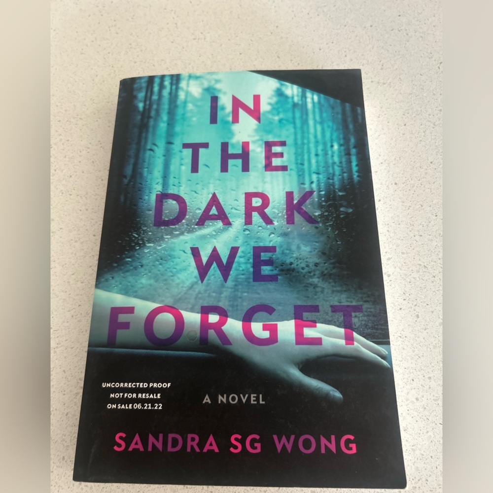 In the Dark We Forget Novel